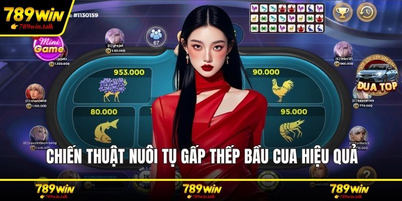 Chiến thuật nuôi tụ gấp thếp bầu cua hiệu quả