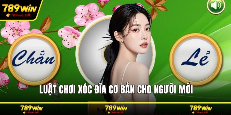 Luật chơi xóc đĩa cơ bản cho người mới