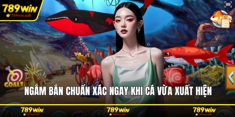 Ngắm bắn chuẩn xác ngay khi cá vừa xuất hiện