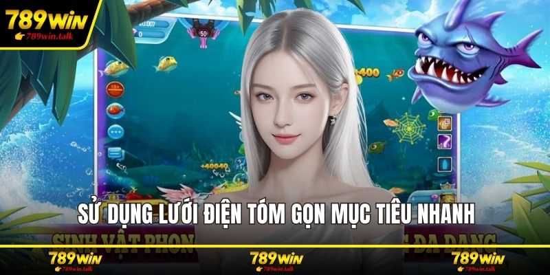 Sử dụng lưới điện tóm gọn mục tiêu nhanh