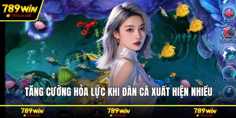 Tăng cường hỏa lực khi đàn cá xuất hiện nhiều